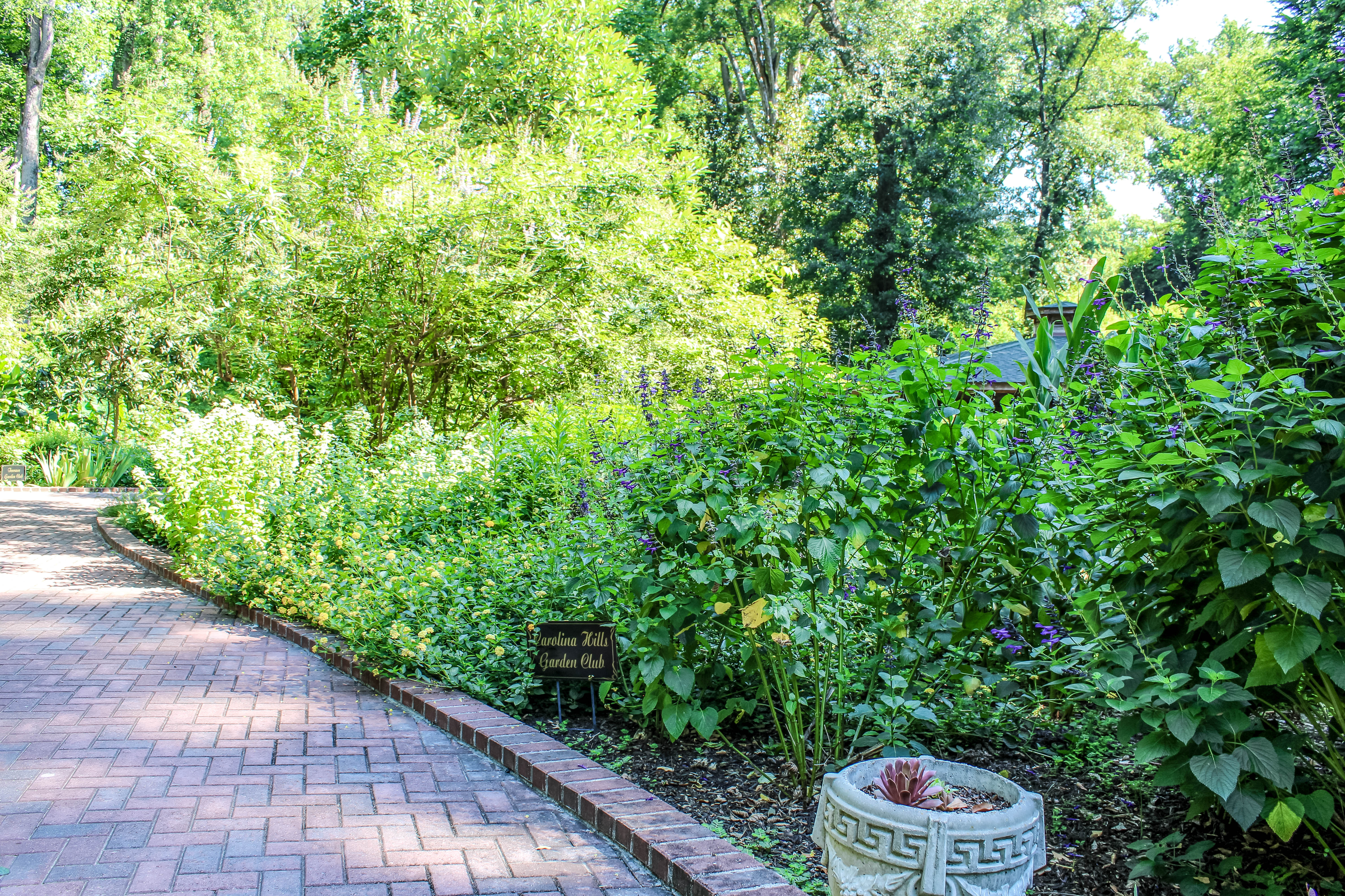 CarolinaHillsGradenClub