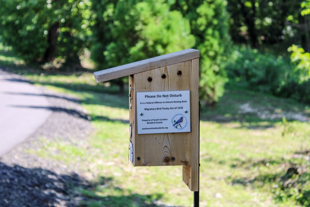 BirdTrailBox
